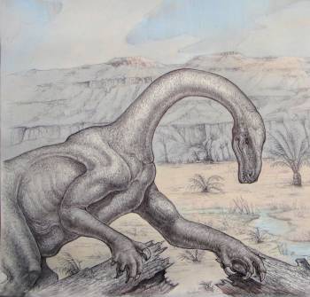 Sarahsaurus