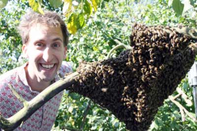 Photo of Barrett Klein with bees