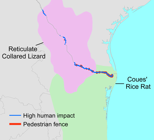 Texas-border-map