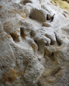 Glen Rose Dinosaur Tracks at The University of Texas at Austin