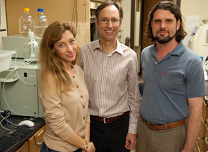 Chemical Engineering Professors Jennifer Maynard, Keith P. Johnston and Thomas Truskett have created a new form of proteins that could drastically improve treatments for cancer and other diseases, as well as overcome some of the largest challenges in therapeutics: delivering drugs to patients safely, easily and more effectively.