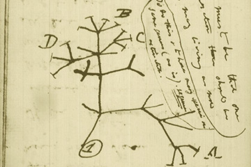 Charles Darwin