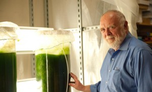 Robert Hebner in the algae facility at UT Austin.
