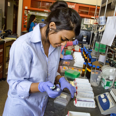 student researcher