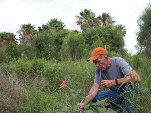 Larry Gilbert collecting phorids TNC Southmost Preserve TX