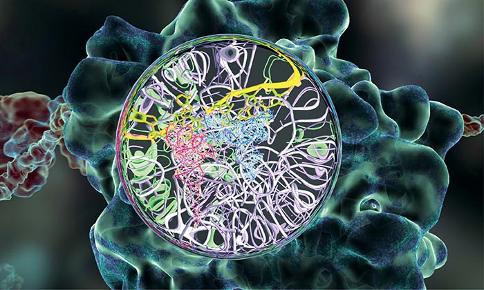 A multi-resolution zoom into the ribosome