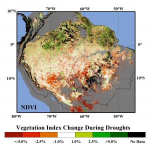 NDVI Change in Amazon During Droughts
