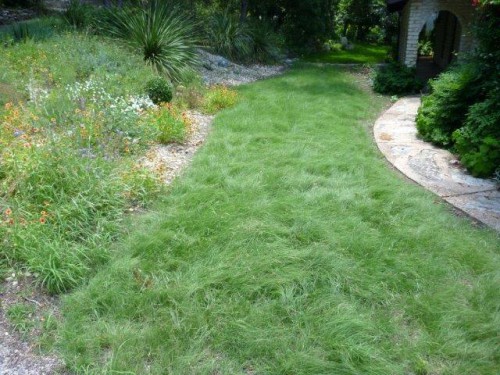 Habiturf Lawn