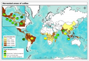 Map showing how coffee management styles vary by country