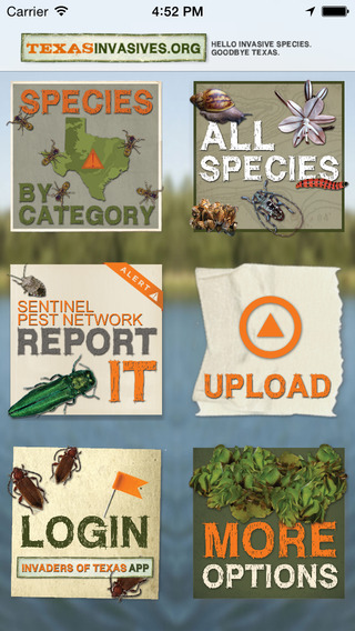 A free mobile app called TX Invasives is now available from the Lady Bird Johnson Wildflower Center at The University of Texas at Austin for identifying harmful non-native plant, insect and other invasive species statewide.