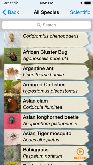 A free mobile app called TX Invasives is now available from the Lady Bird Johnson Wildflower Center at The University of Texas at Austin for identifying harmful non-native plant, insect and other invasive species statewide.