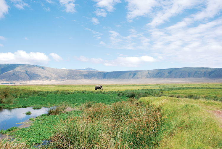Ngorongoro Crater Tanzania