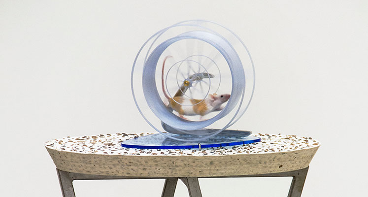 Digital Fabrication Lab