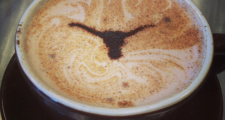 Longhorns Latte Art