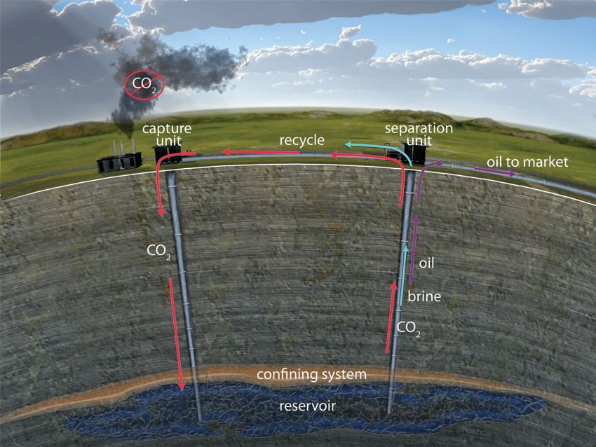 Carbon sequestration