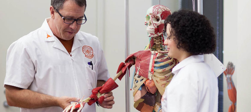 medical teach and student examining anatomical model