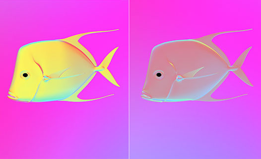 Invisible fish
