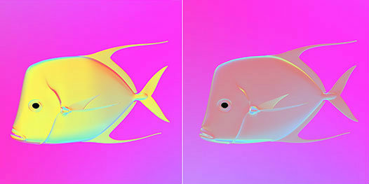 fish-invisibility