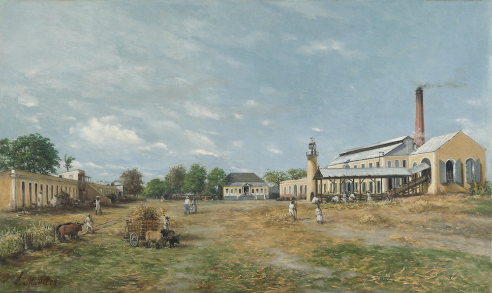 Francisco Ollerâs Hacienda La Fortuna