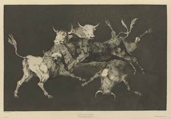 Disparate de tontos [or Toritos] [Fools’—or Little Bulls’—Folly]