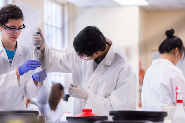 Freshman Research Initiative Natural Sciences labs 2015