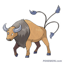 Now letâs hope Hanke can help us catch a Taurosâ¦. 
