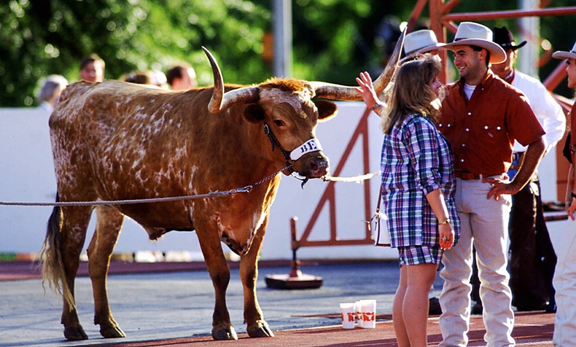 BEVO XIII in 1992