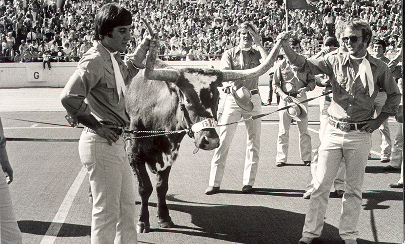 BEVO IX