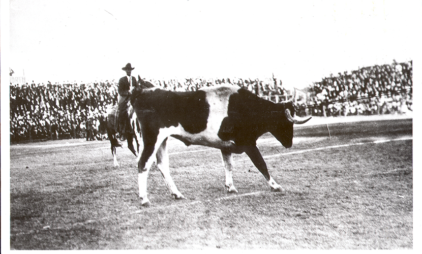 BEVO I