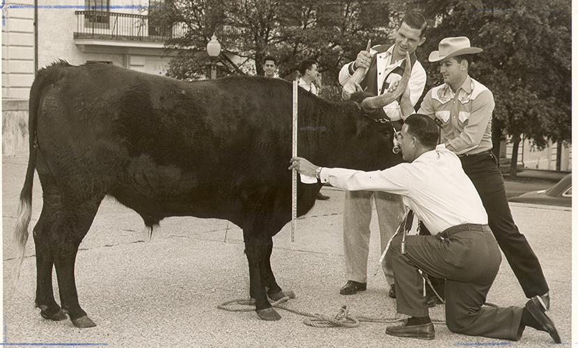 BEVO V in 1952