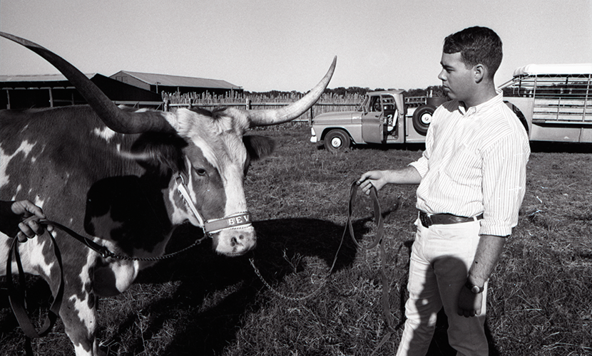 BEVO VIII in 1965