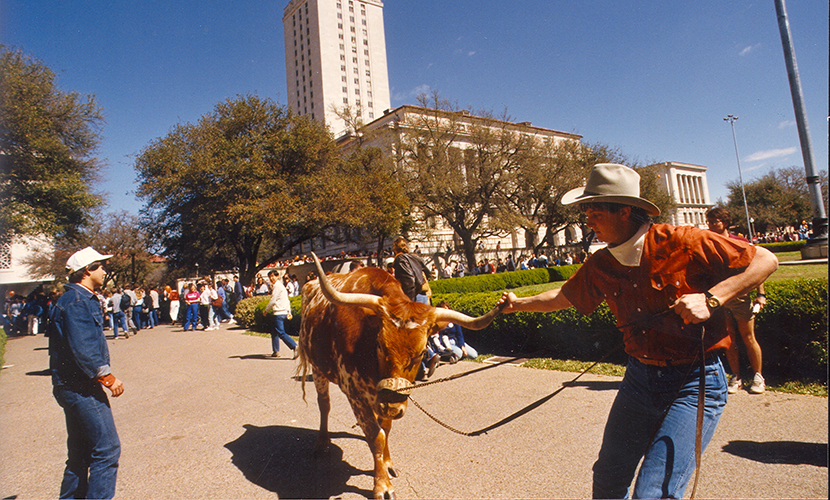 BEVO XII