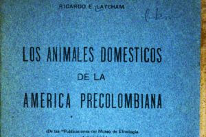los_animales_domesticos