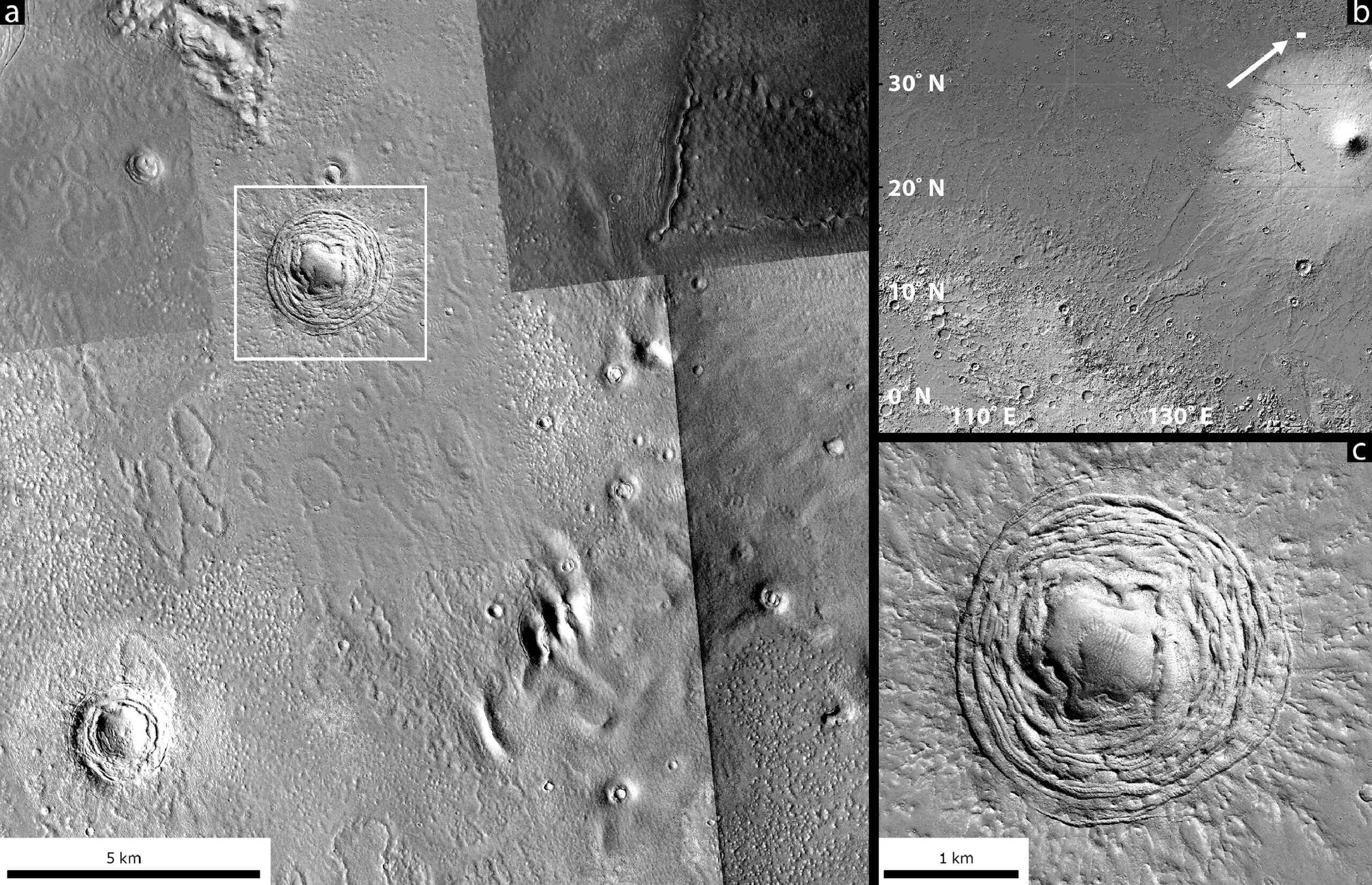 Galaxias region