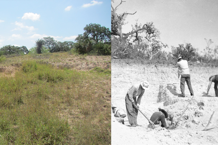 Grassy hill excavation site