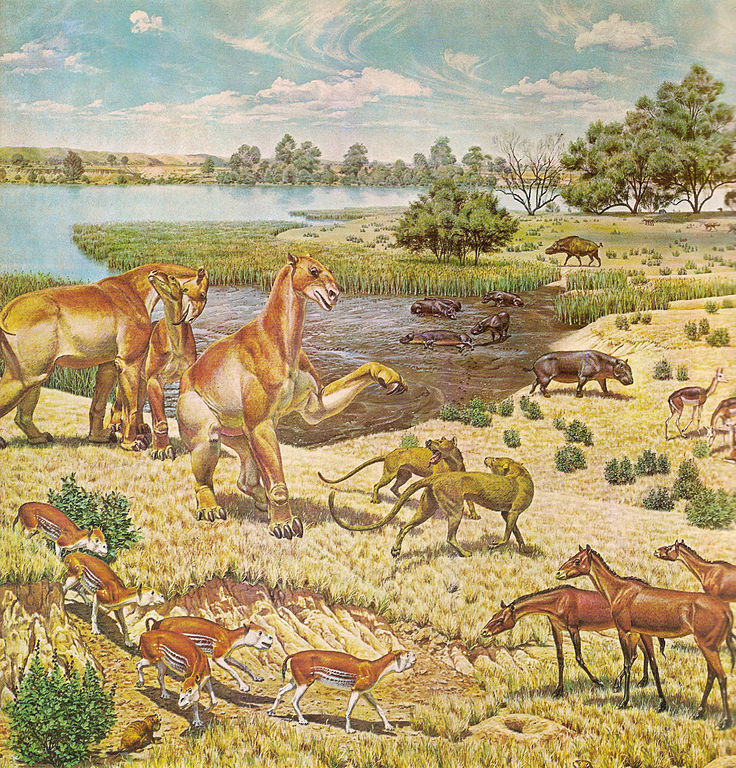 miocene fauna