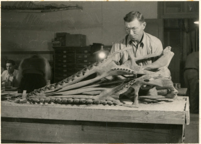 WPA lab