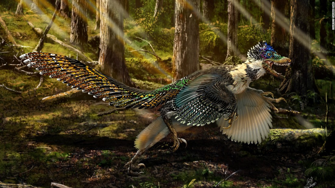 feathered dinosaur
