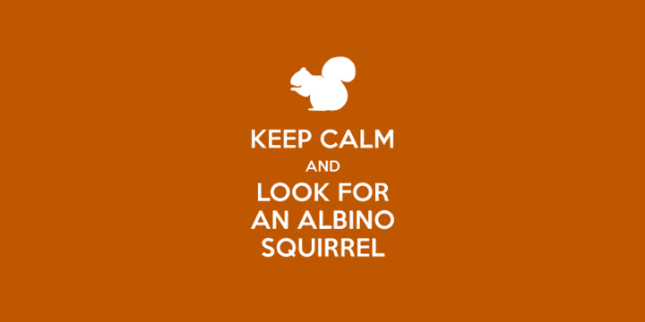 Keep calm graphic