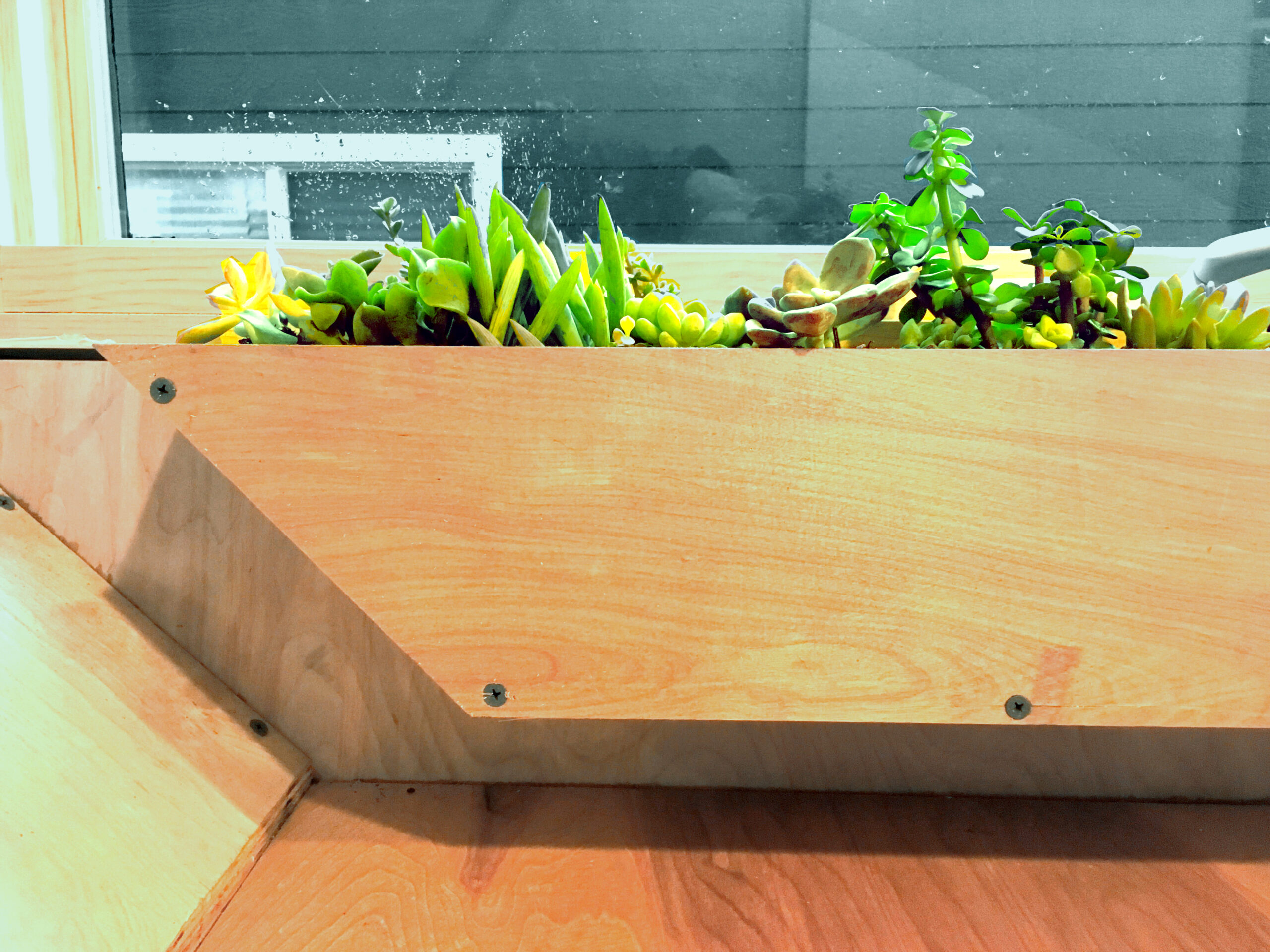 flower pot outside tiny house