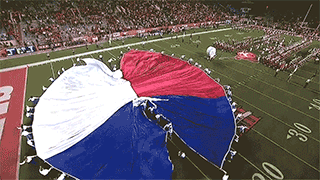 Complex and coordinated flag performance maneuvers.