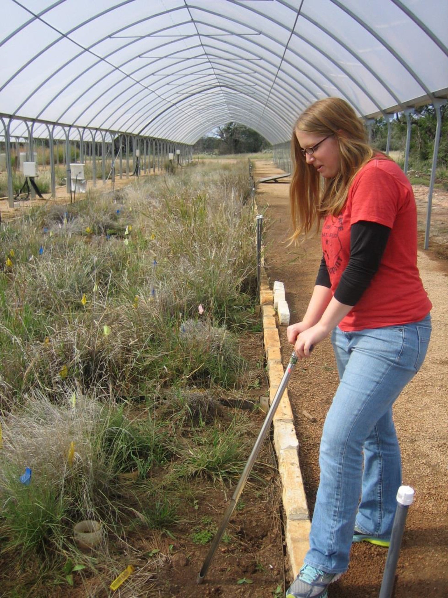 Scientist sampling soil