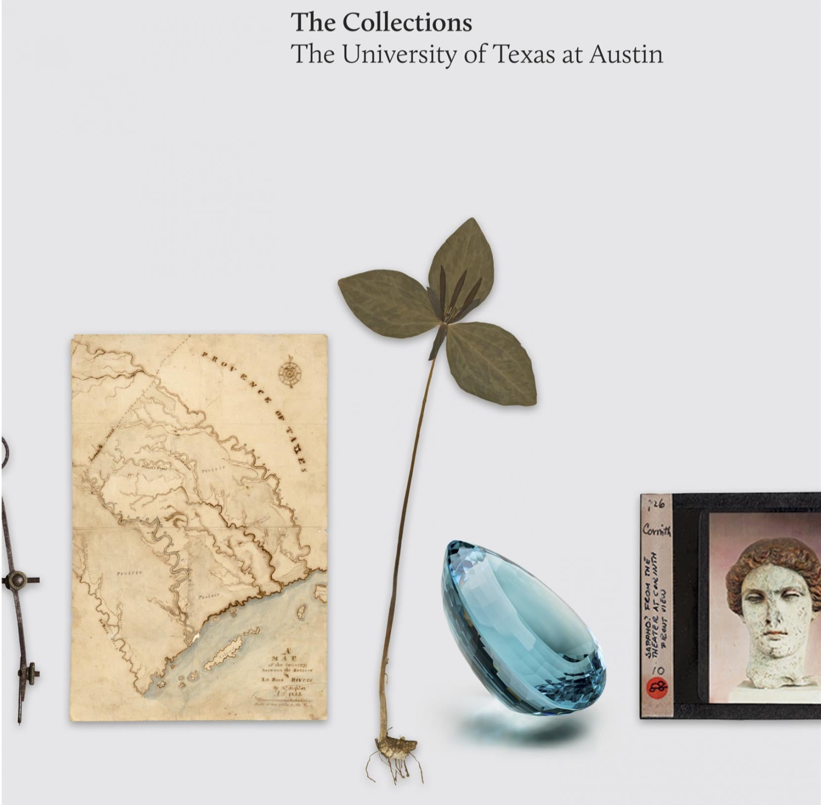 the_collections_book_cover_0