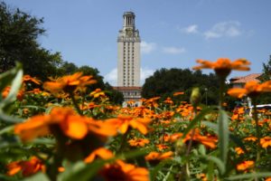 tower_and_orange_flowers_