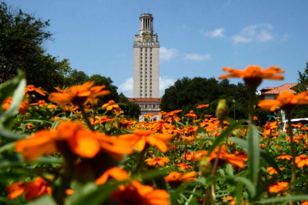 tower and orange flowers