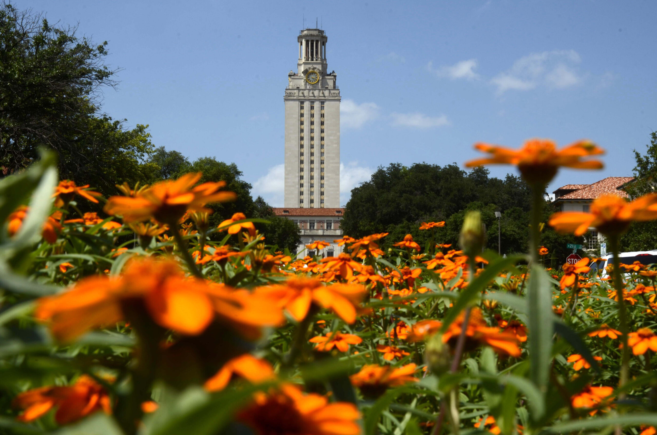 tower and orange flowers