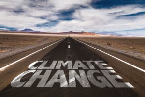 climate_change_road