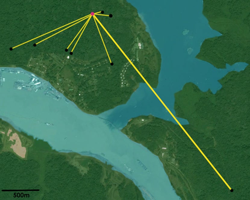 Pollination Map