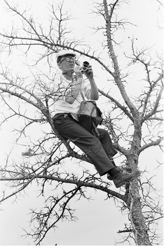  Photographer Charles Moore hides in tree. 
