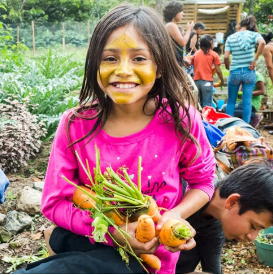 Girl gardening in Guatemala.